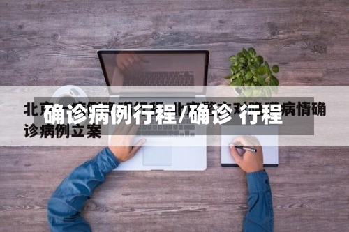 确诊病例行程/确诊 行程