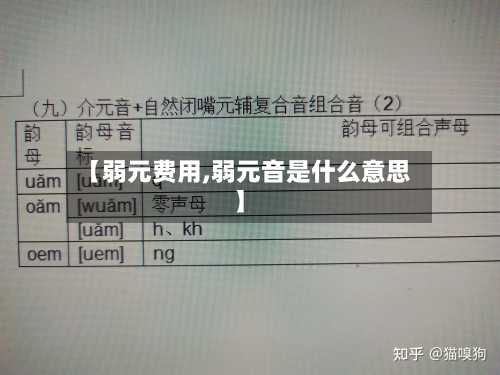 【弱元费用,弱元音是什么意思】