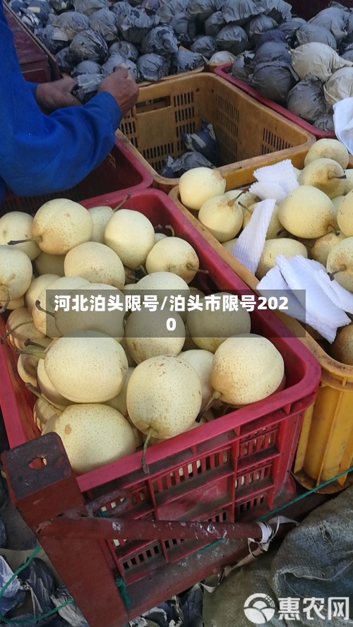 河北泊头限号/泊头市限号2020