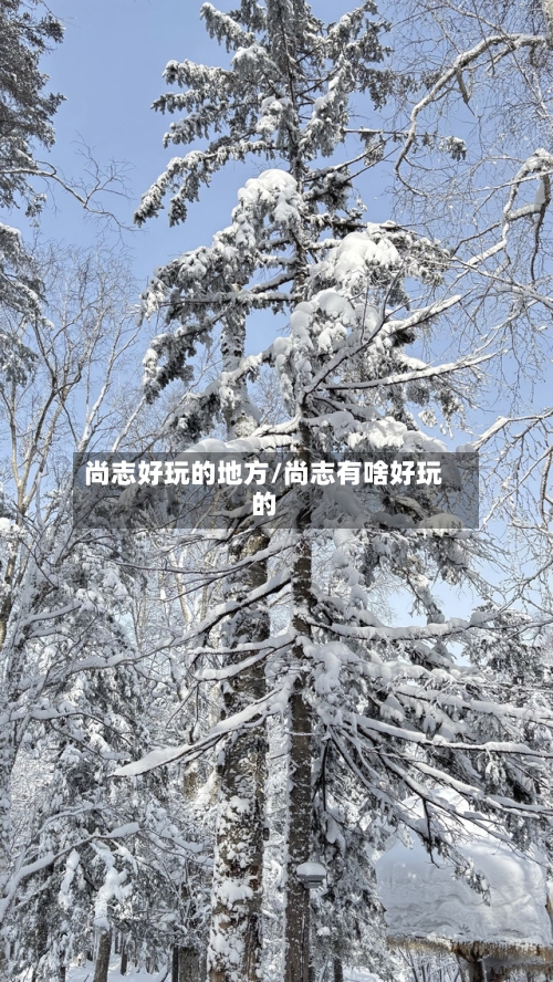 尚志好玩的地方/尚志有啥好玩的-第2张图片