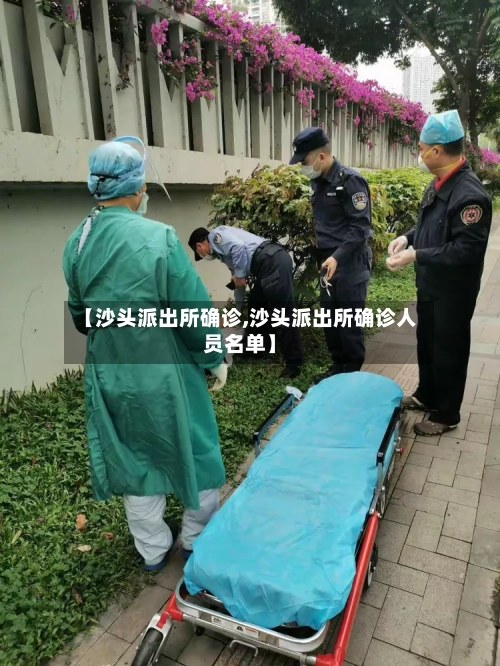 【沙头派出所确诊,沙头派出所确诊人员名单】-第2张图片