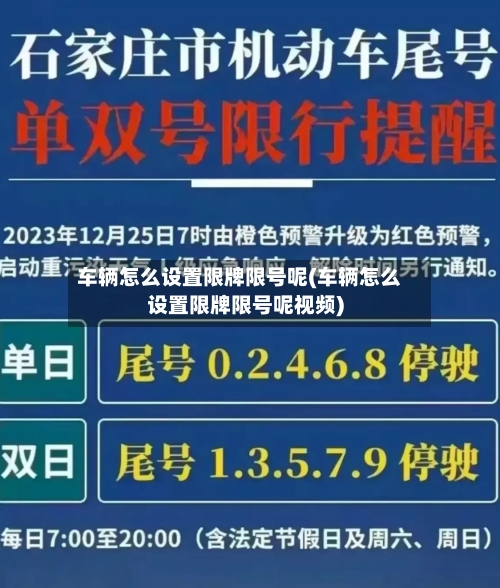 车辆怎么设置限牌限号呢(车辆怎么设置限牌限号呢视频)