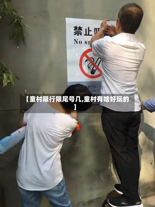 【童村限行限尾号几,童村有啥好玩的】-第2张图片
