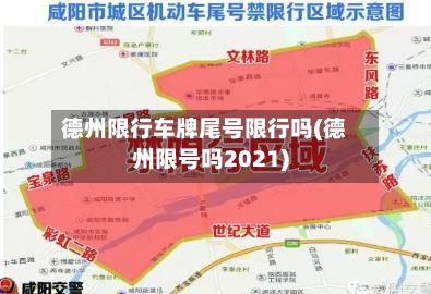 德州限行车牌尾号限行吗(德州限号吗2021)-第2张图片