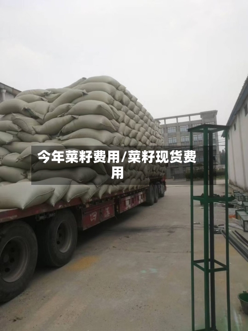 今年菜籽费用/菜籽现货费用-第2张图片