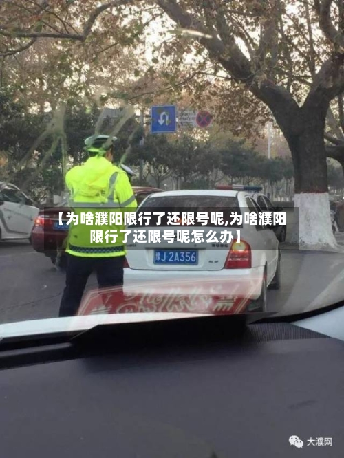 【为啥濮阳限行了还限号呢,为啥濮阳限行了还限号呢怎么办】-第2张图片