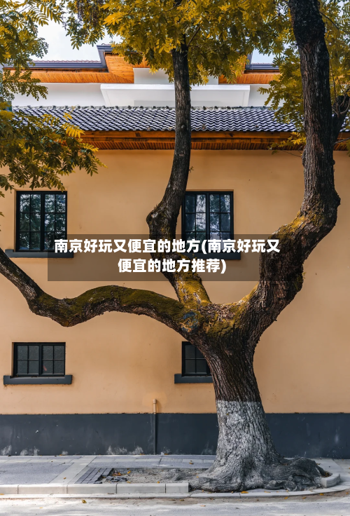 南京好玩又便宜的地方(南京好玩又便宜的地方推荐)