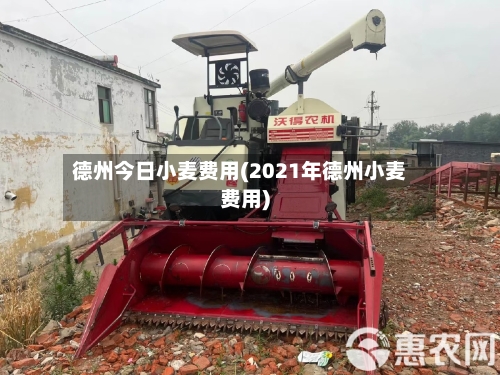 德州今日小麦费用(2021年德州小麦费用)-第3张图片
