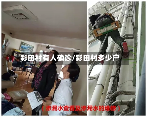 彩田村有人确诊/彩田村多少户-第2张图片