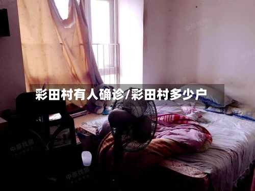 彩田村有人确诊/彩田村多少户