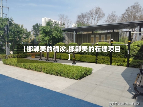 【邯郸美的确诊,邯郸美的在建项目】-第3张图片