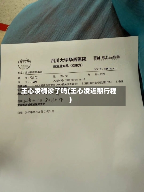 王心凌确诊了吗(王心凌近期行程)-第3张图片