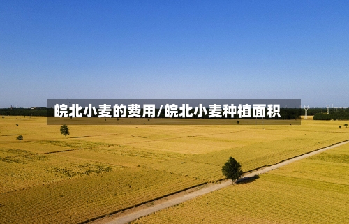 皖北小麦的费用/皖北小麦种植面积-第2张图片