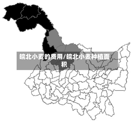 皖北小麦的费用/皖北小麦种植面积