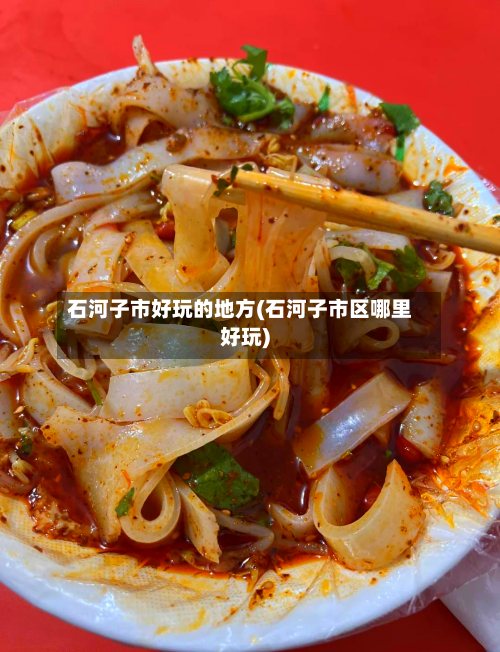 石河子市好玩的地方(石河子市区哪里好玩)-第2张图片
