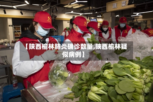 【陕西榆林肺炎确诊数量,陕西榆林疑似病例】-第2张图片