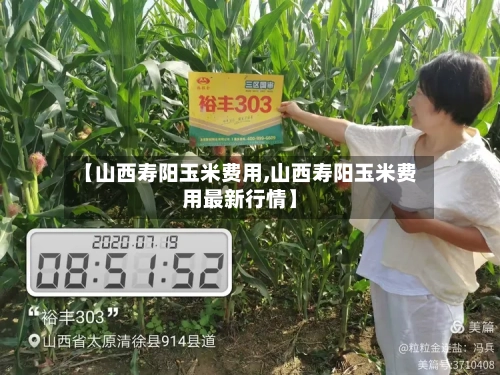 【山西寿阳玉米费用,山西寿阳玉米费用最新行情】