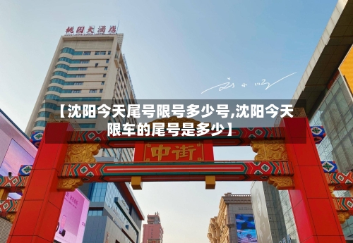 【沈阳今天尾号限号多少号,沈阳今天限车的尾号是多少】-第3张图片