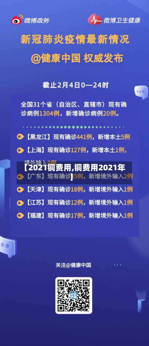 【2021铜费用,铜费用2021年】