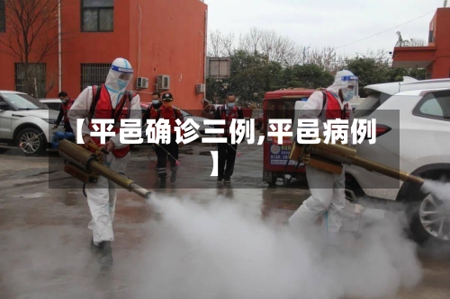 【平邑确诊三例,平邑病例】