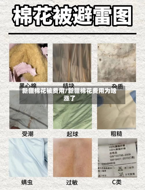 新疆棉花被费用/新疆棉花费用为啥涨了-第2张图片