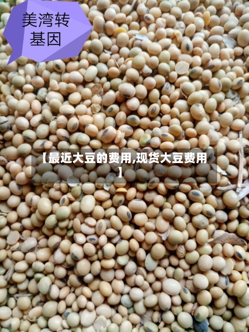【最近大豆的费用,现货大豆费用】