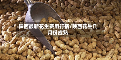 陕西最新花生费用行情/陕西花生几月份成熟