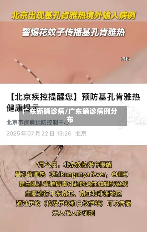 广东新确诊病/广东确诊病例分布-第2张图片