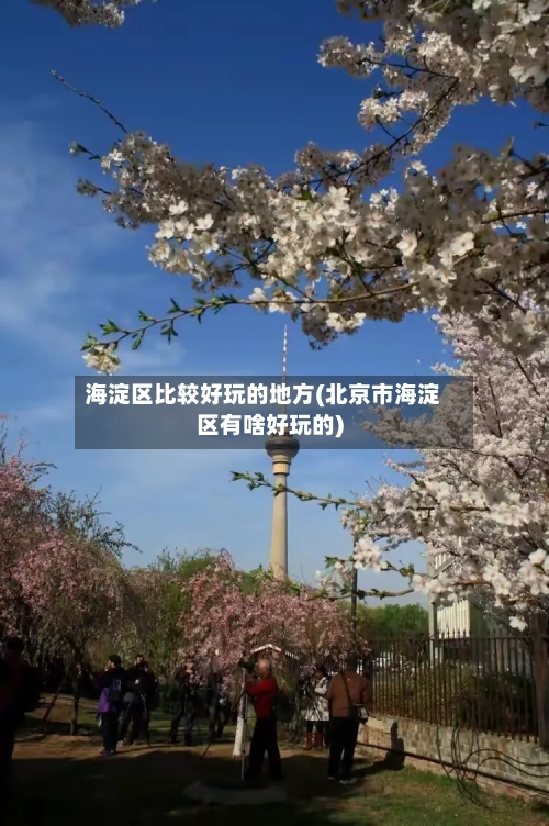 海淀区比较好玩的地方(北京市海淀区有啥好玩的)-第3张图片