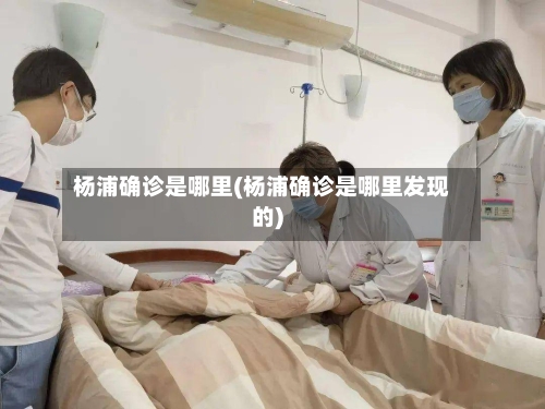 杨浦确诊是哪里(杨浦确诊是哪里发现的)-第2张图片