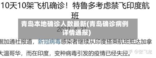 青岛本地确诊人数最新(青岛确诊病例详情通报)-第2张图片