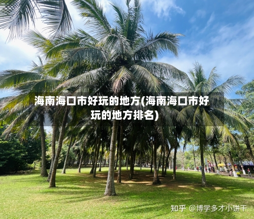 海南海口市好玩的地方(海南海口市好玩的地方排名)-第2张图片
