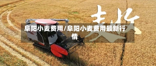 阜阳小麦费用/阜阳小麦费用最新行情-第2张图片