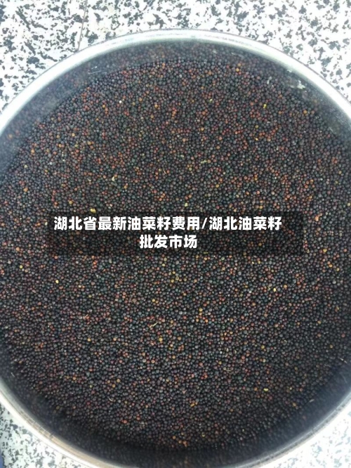湖北省最新油菜籽费用/湖北油菜籽批发市场-第2张图片