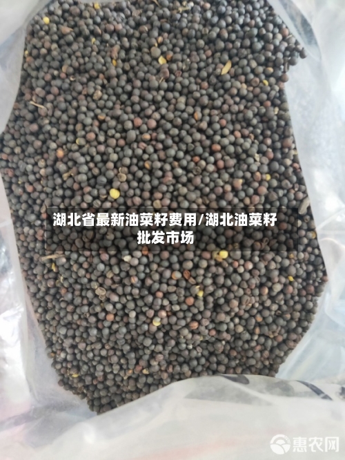 湖北省最新油菜籽费用/湖北油菜籽批发市场-第3张图片