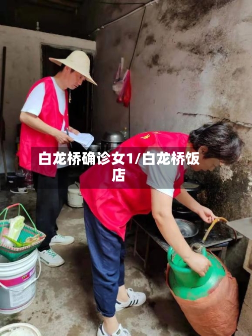 白龙桥确诊女1/白龙桥饭店