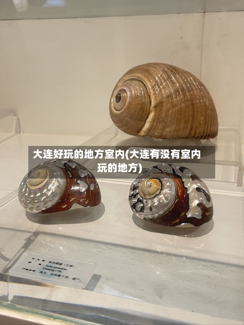 大连好玩的地方室内(大连有没有室内玩的地方)