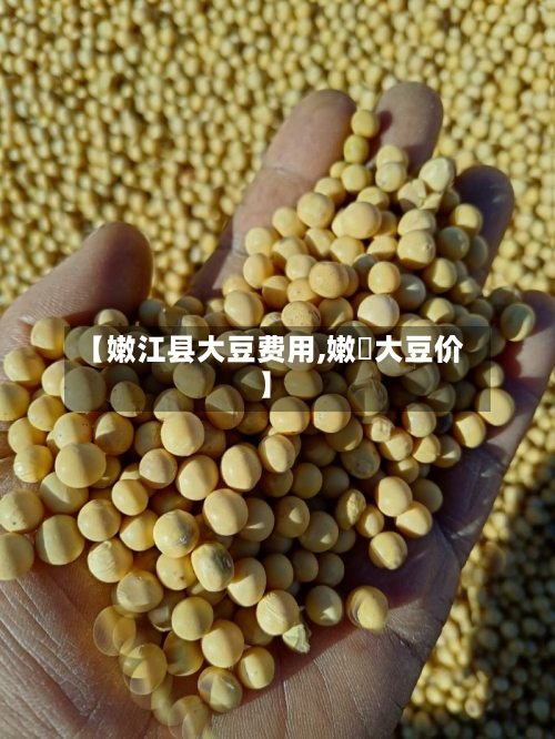 【嫩江县大豆费用,嫩冮大豆价】-第2张图片