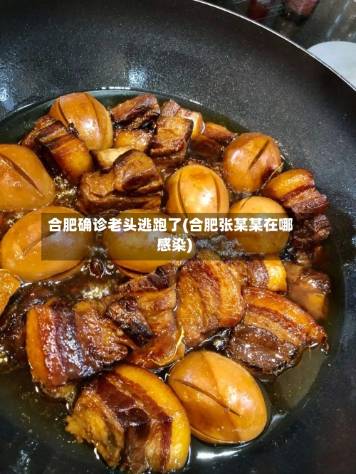 合肥确诊老头逃跑了(合肥张某某在哪感染)