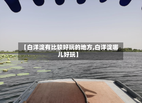 【白洋淀有比较好玩的地方,白洋淀哪儿好玩】-第3张图片