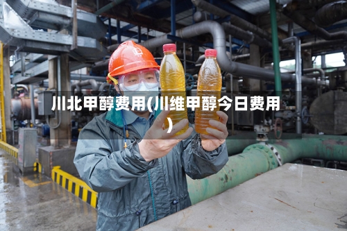 川北甲醇费用(川维甲醇今日费用)-第2张图片