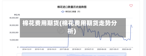 棉花费用期货(棉花费用期货走势分析)