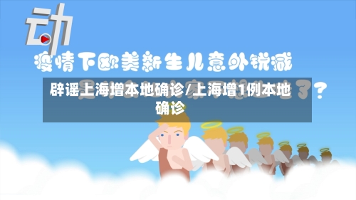 辟谣上海增本地确诊/上海增1例本地确诊-第2张图片