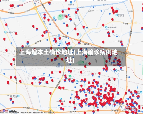 上海增本土确诊地址(上海确诊病例地址)-第3张图片