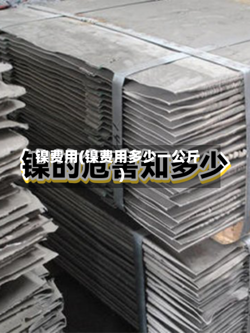 镍费用(镍费用多少一公斤)-第2张图片