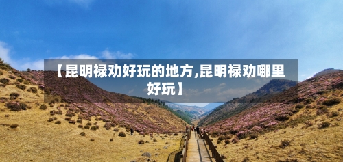 【昆明禄劝好玩的地方,昆明禄劝哪里好玩】