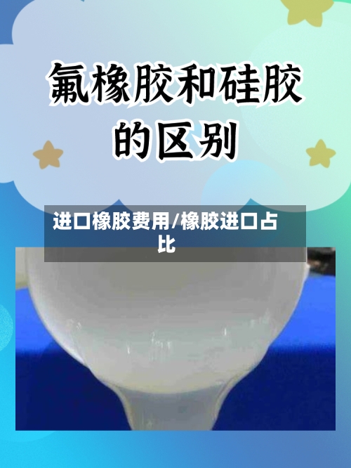 进口橡胶费用/橡胶进口占比