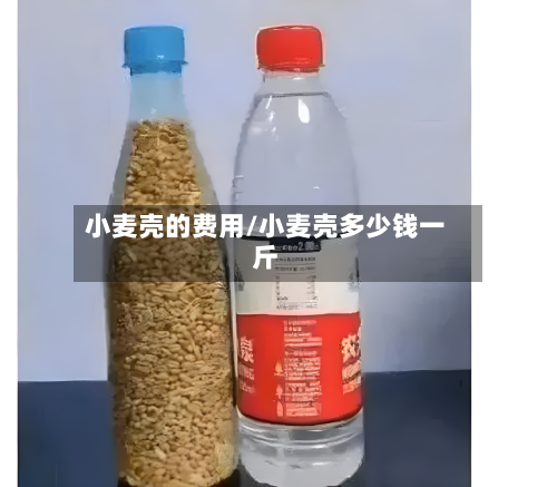 小麦壳的费用/小麦壳多少钱一斤-第2张图片