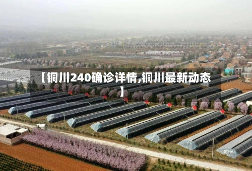 【铜川240确诊详情,铜川最新动态】