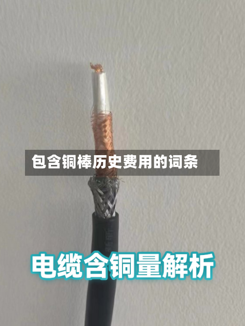包含铜棒历史费用的词条-第2张图片
